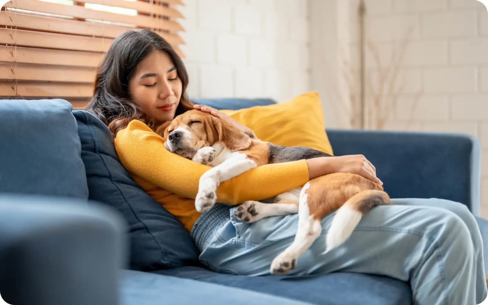 Complimentary Pet Insurance